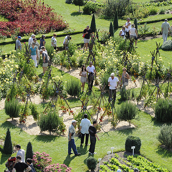 la bourdaisiere